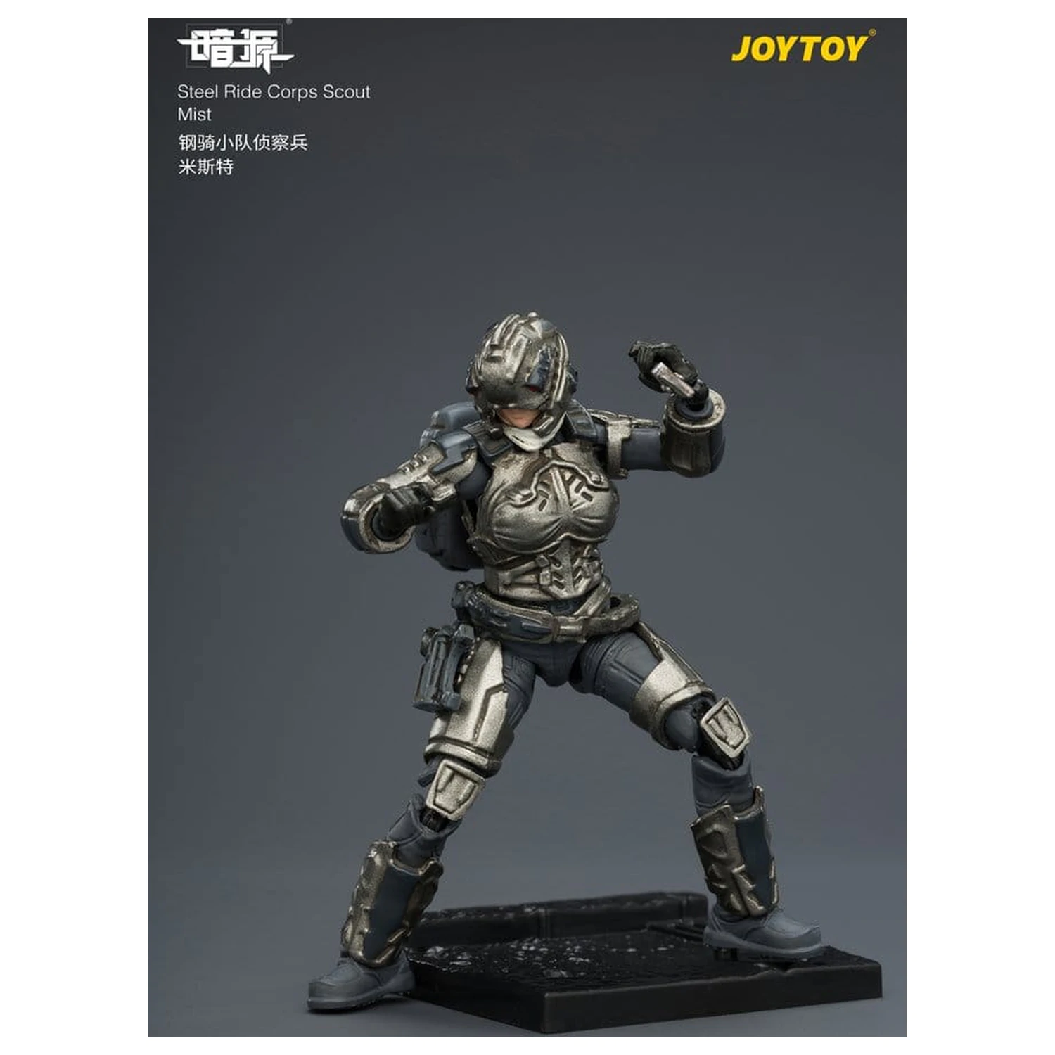 Dark Source Steel Ride Corps Actionfigur Scout Mist 8 cm Produktfoto