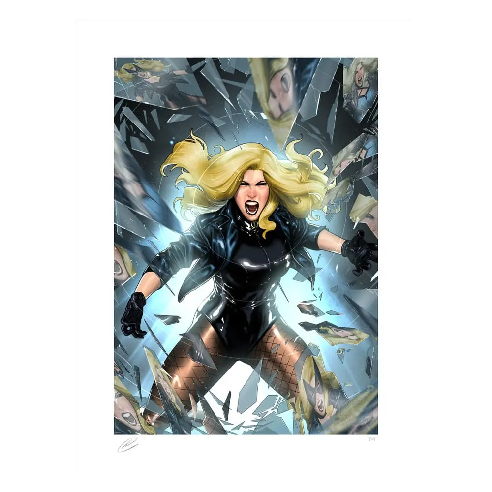 DC Comics Kunstdruck Black Canary 46 x 61 cm - ungerahmt Produktfoto