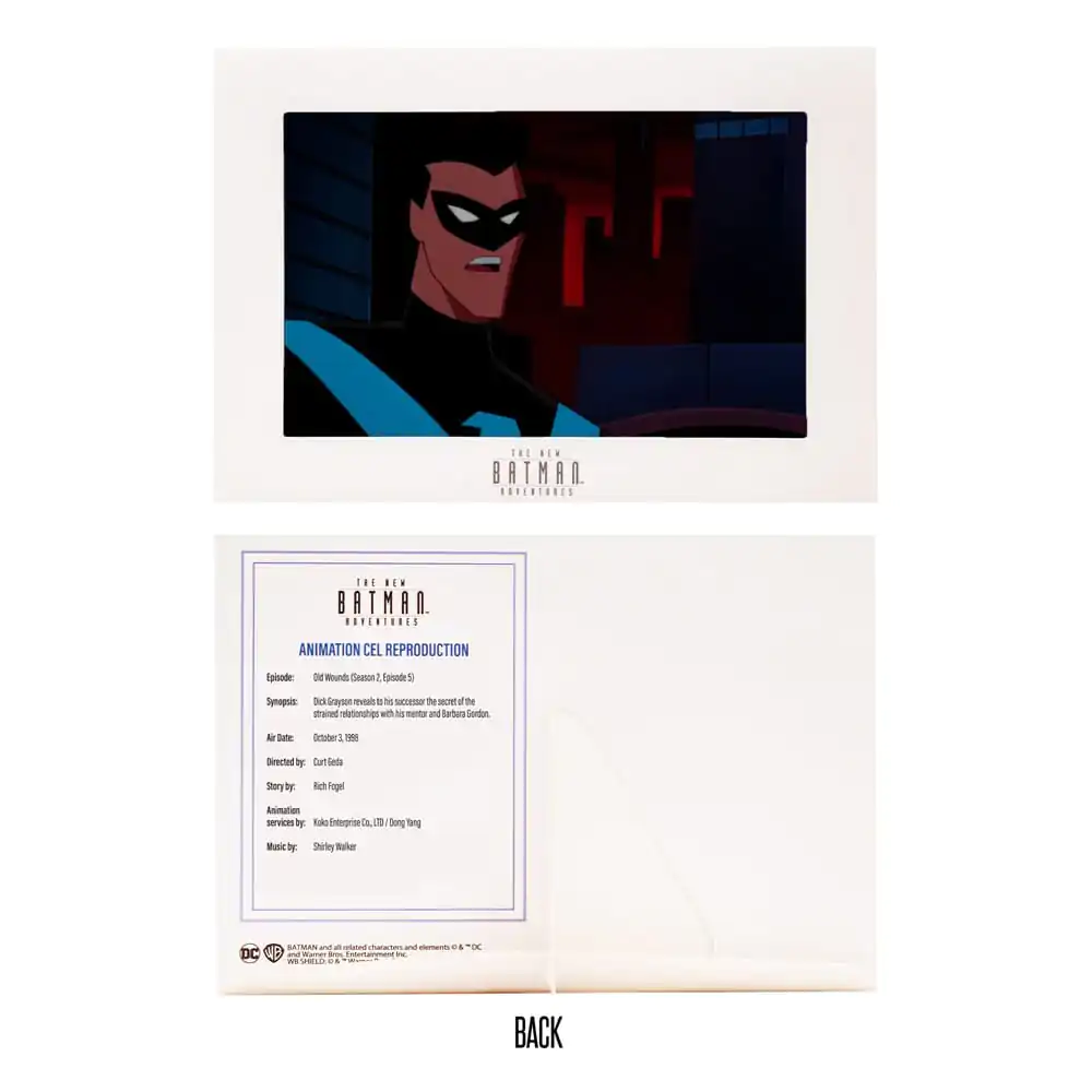 DC Direct Actionfigur The New Batman Adventures Nightwing 15 cm Produktfoto