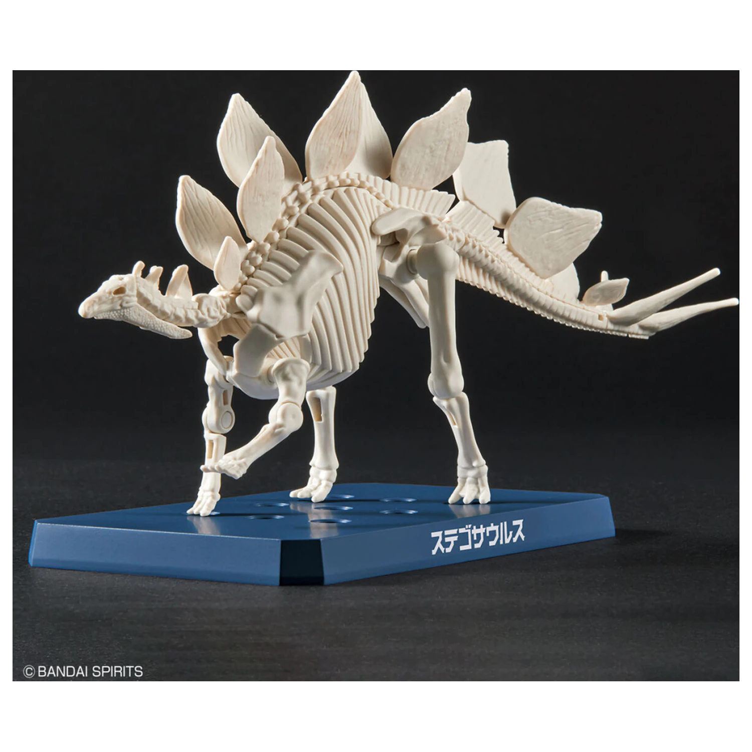 Dinosaur Neuer Dinosaurier aus Kunststoff Stegosaurus (Vorläufig) Modellbausatz Produktfoto