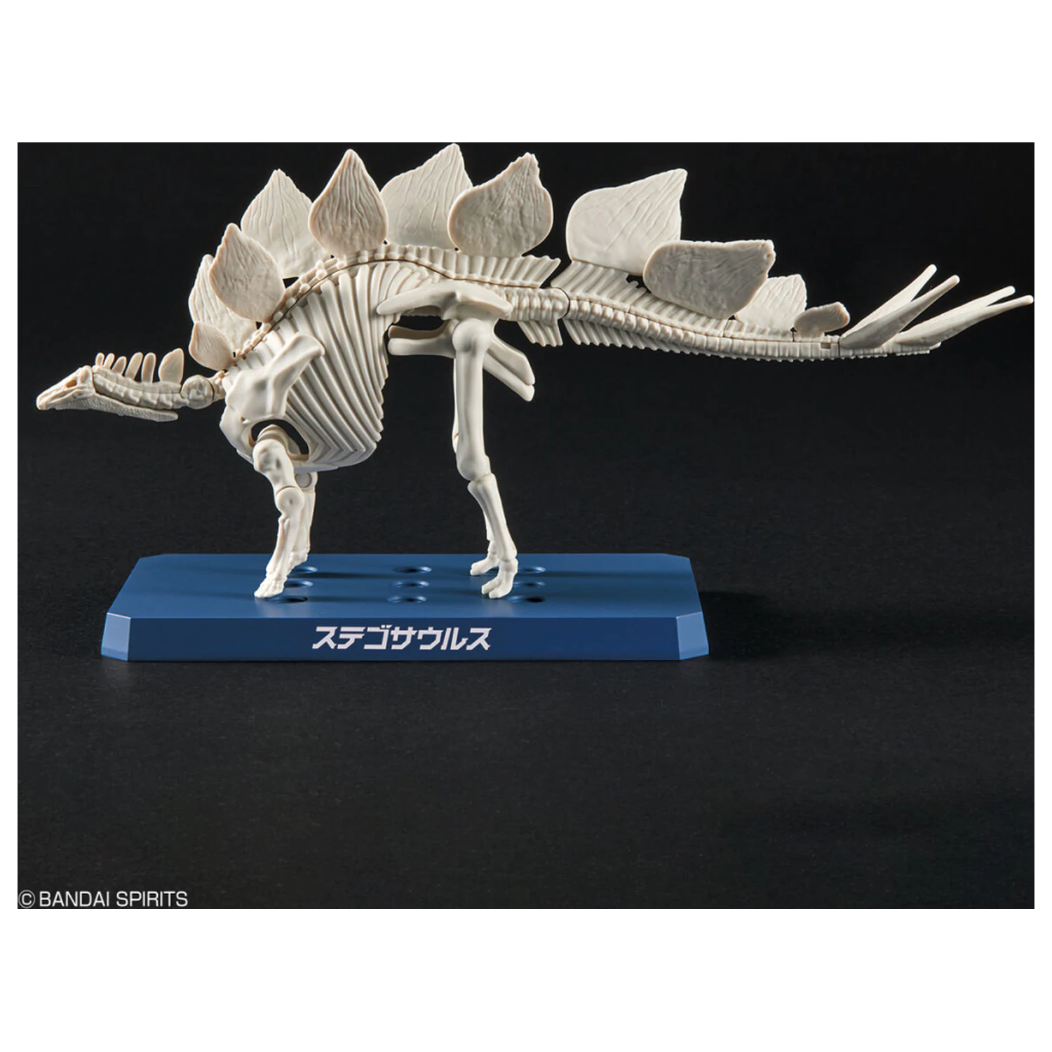 Dinosaur Neuer Dinosaurier aus Kunststoff Stegosaurus (Vorläufig) Modellbausatz Produktfoto