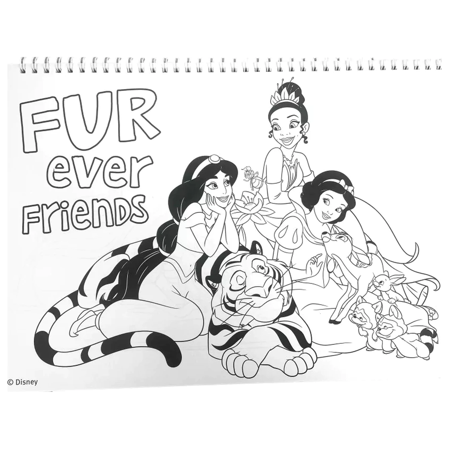 Disney Princesses Life A/4 Spiral-Skizzenblock, 40 Blatt mit Stickern Produktfoto