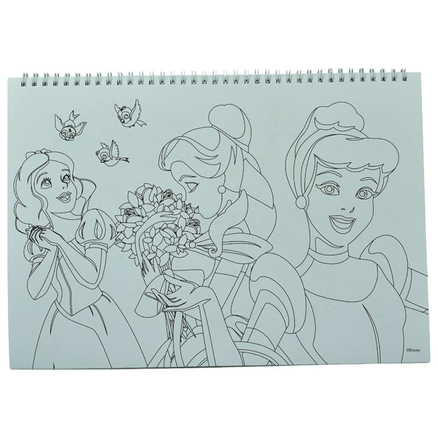Disney Princess Spring A/4 Spiral Skizzenbuch 40 Blatt mit Stickern Produktfoto