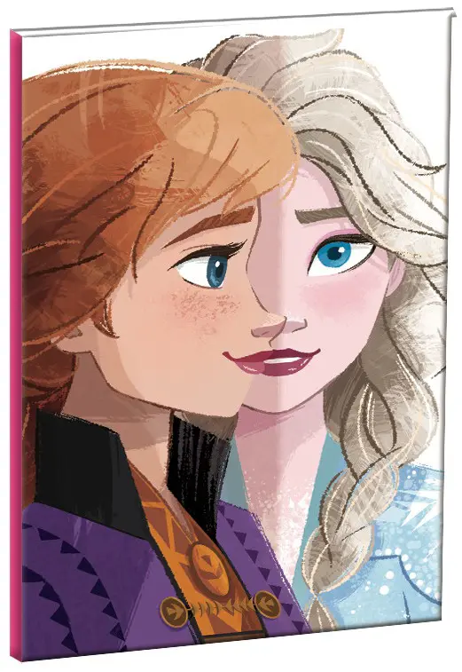 Disney Frozen B/5 liniertes Notizbuch 40 Seiten Produktfoto