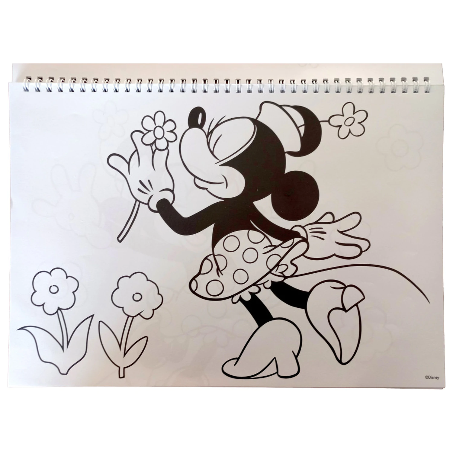 Disney Minnie Nomadic Spirit A/4 Spiral-Skizzenbuch mit 40 Aufklebern Produktfoto