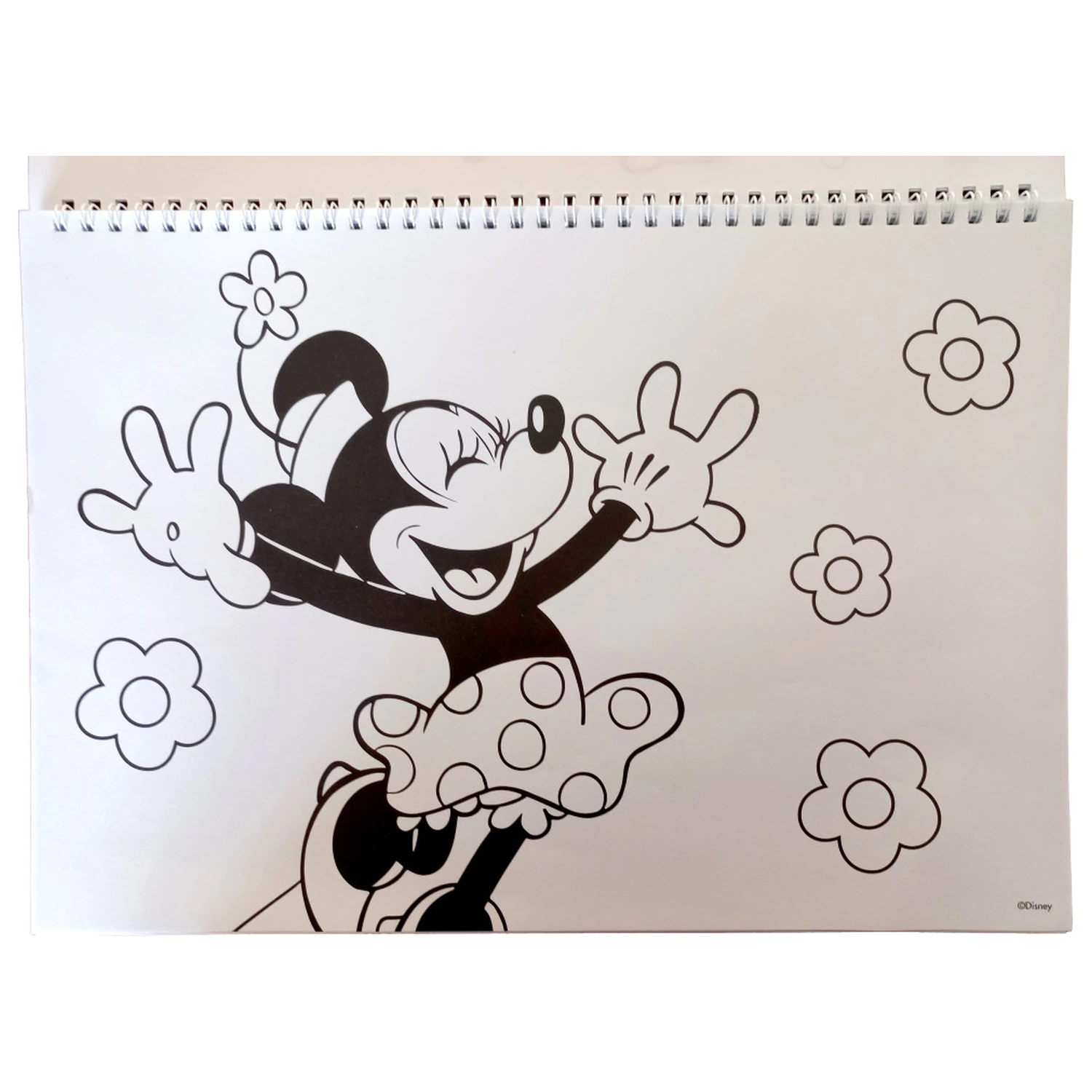 Disney Minnie Nomadic Spirit A/4 Spiral-Skizzenbuch mit 40 Aufklebern Produktfoto