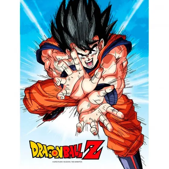 Dragon Ball Z Goku Kame Glasplakat termékfotó