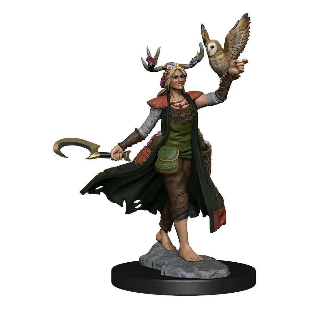 Dungeons & Dragons Frameworks Miniatur-Bausatz Human Druid Female Produktfoto