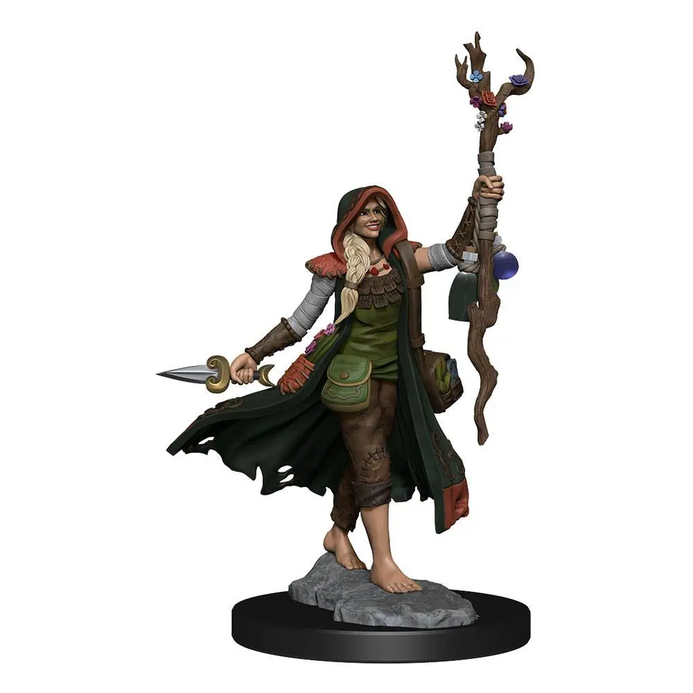 Dungeons & Dragons Frameworks Miniatur-Bausatz Human Druid Female Produktfoto