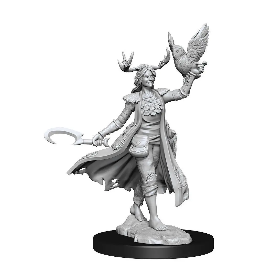 Dungeons & Dragons Frameworks Miniatur-Bausatz Human Druid Female Produktfoto