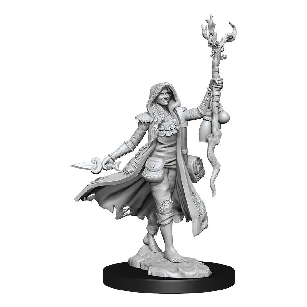 Dungeons & Dragons Frameworks Miniatur-Bausatz Human Druid Female Produktfoto