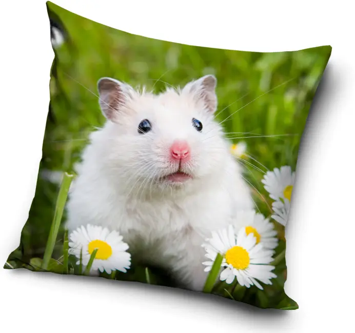 Maus Kissenhülle 40x40 cm Produktfoto