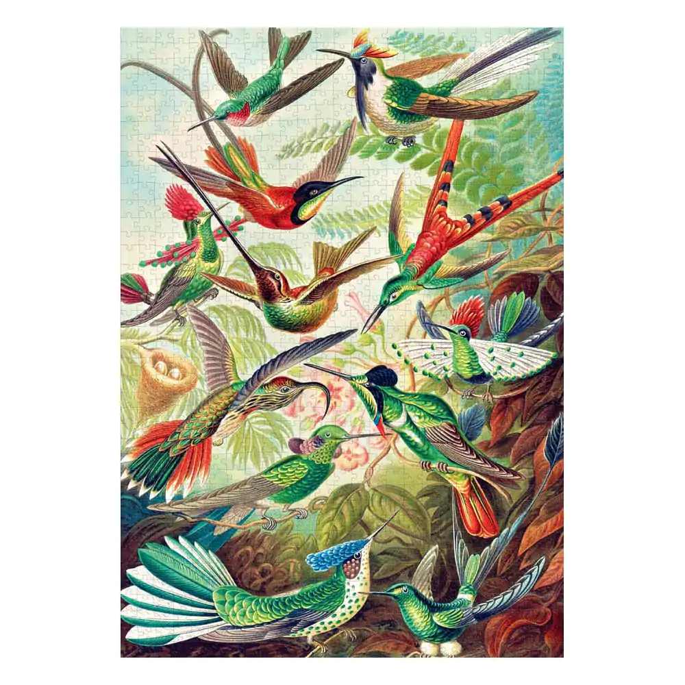 Ernst Haeckel Imagination Puzzle Hummingbirds/Kolibry (1000 Teile) Produktfoto