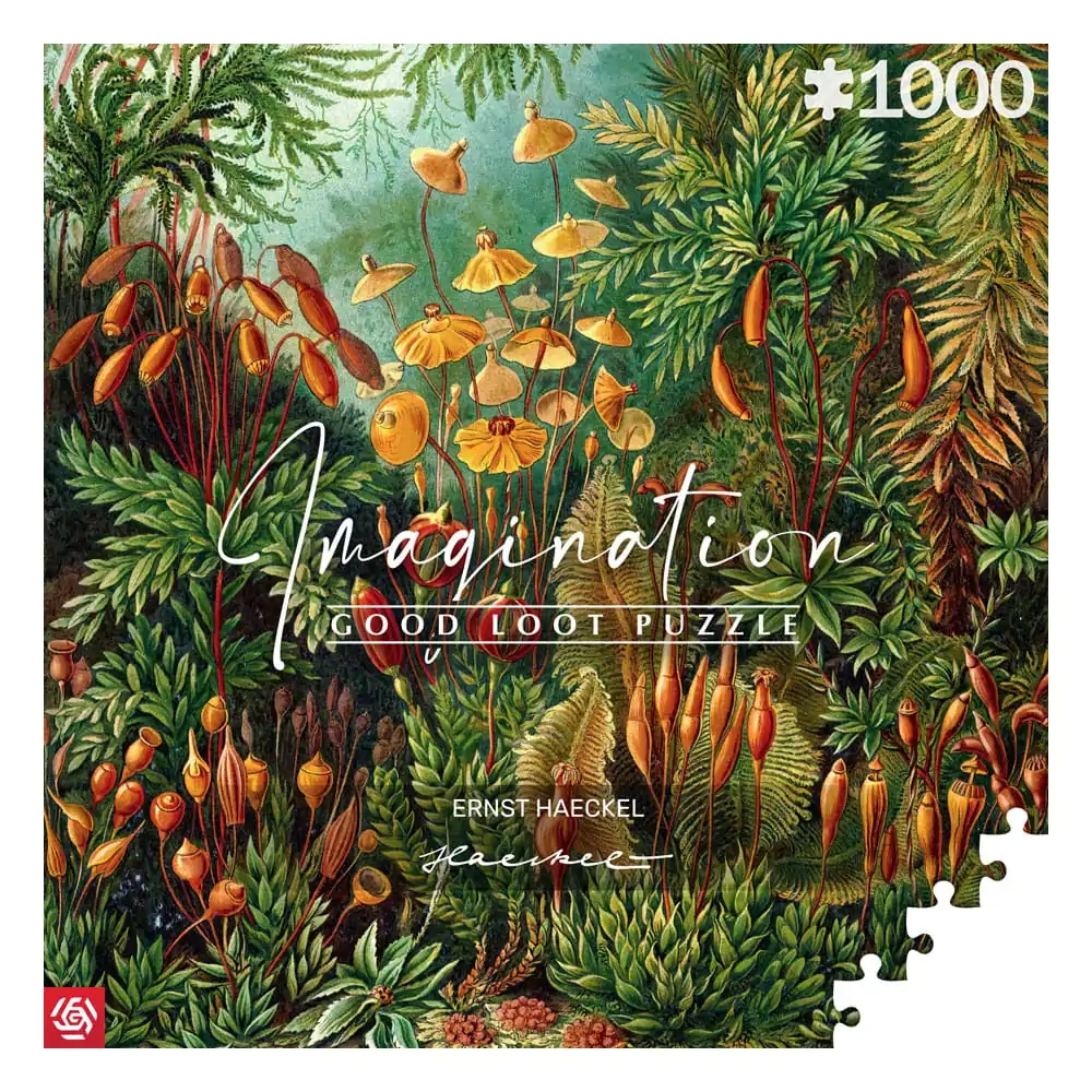 Ernst Haeckel Imagination Puzzle Muscinae (1000 Teile) termékfotó