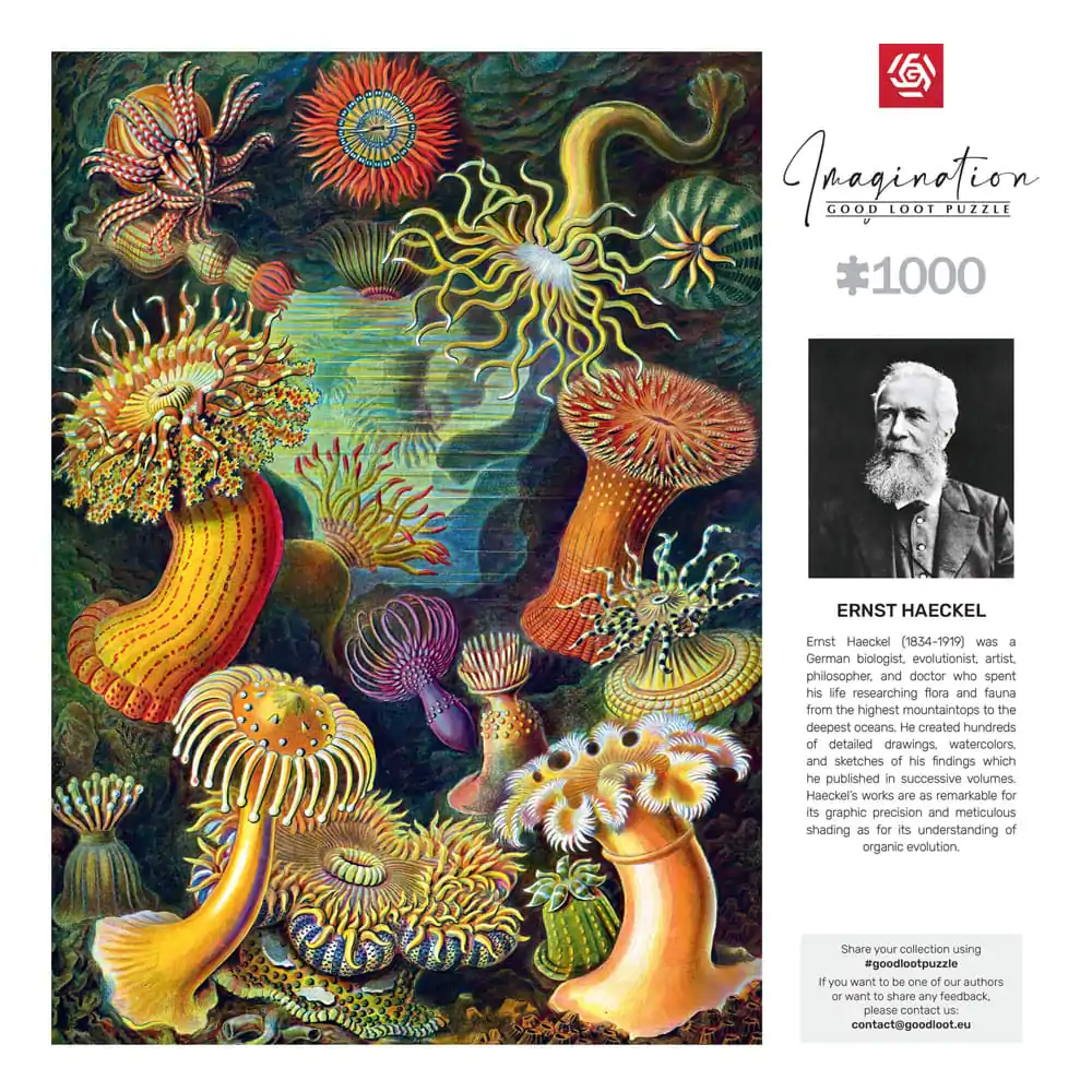 Ernst Haeckel Imagination Puzzle Sea Anemones/Stworzenia morskie (1000 Teile) termékfotó