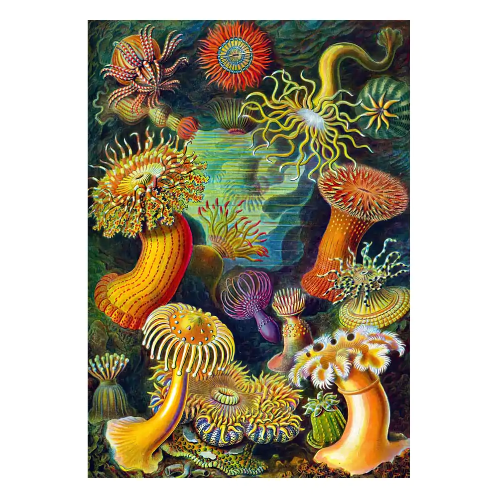 Ernst Haeckel Imagination Puzzle Sea Anemones/Stworzenia morskie (1000 Teile) termékfotó