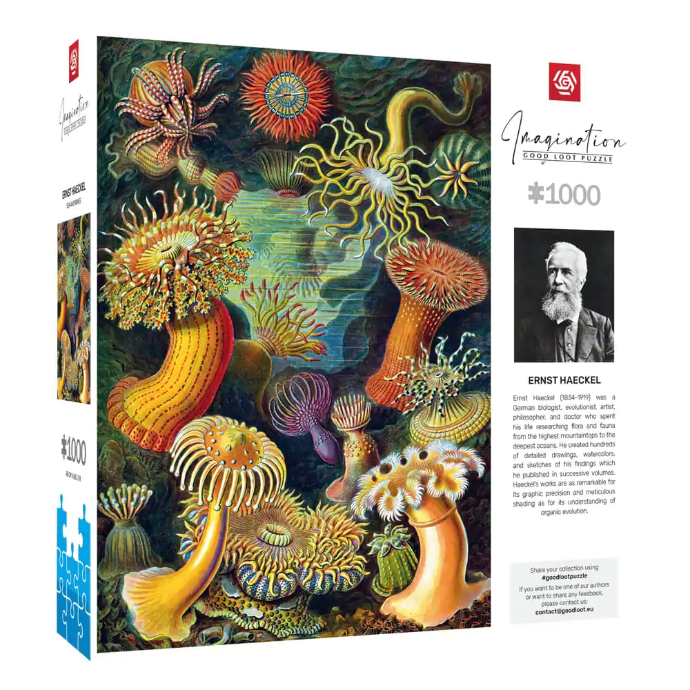 Ernst Haeckel Imagination Puzzle Sea Anemones/Stworzenia morskie (1000 Teile) termékfotó