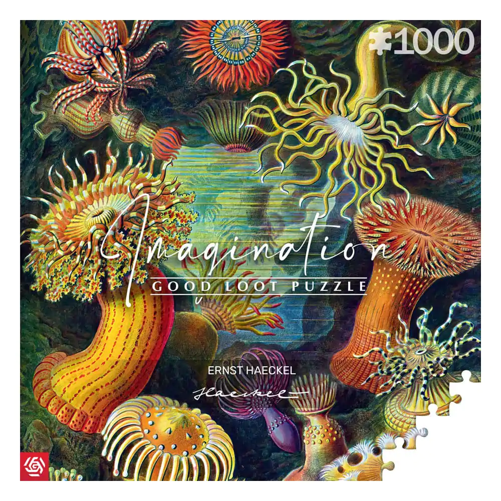 Ernst Haeckel Imagination Puzzle Sea Anemones/Stworzenia morskie (1000 Teile) termékfotó