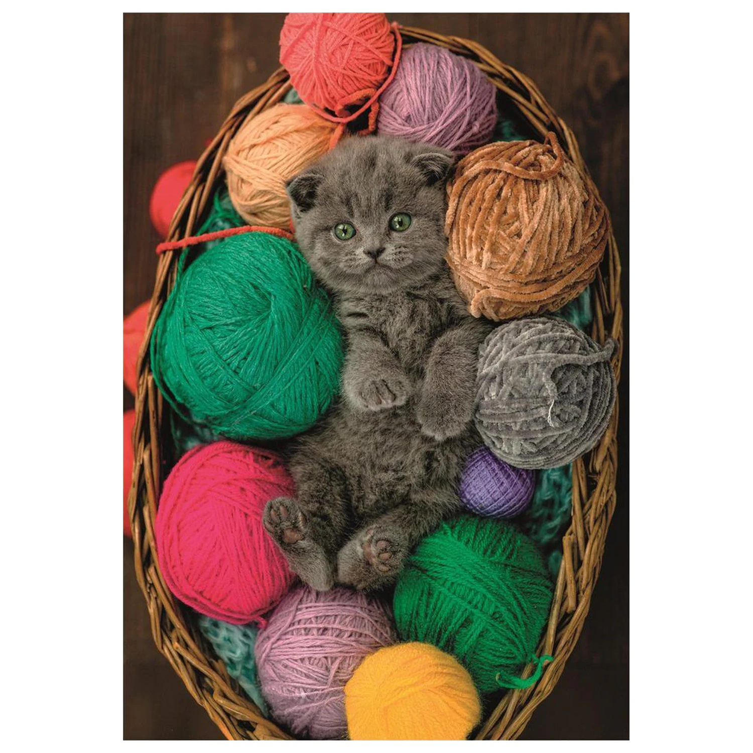 Fluffy Kitten Puzzle 500 Teile Produktfoto