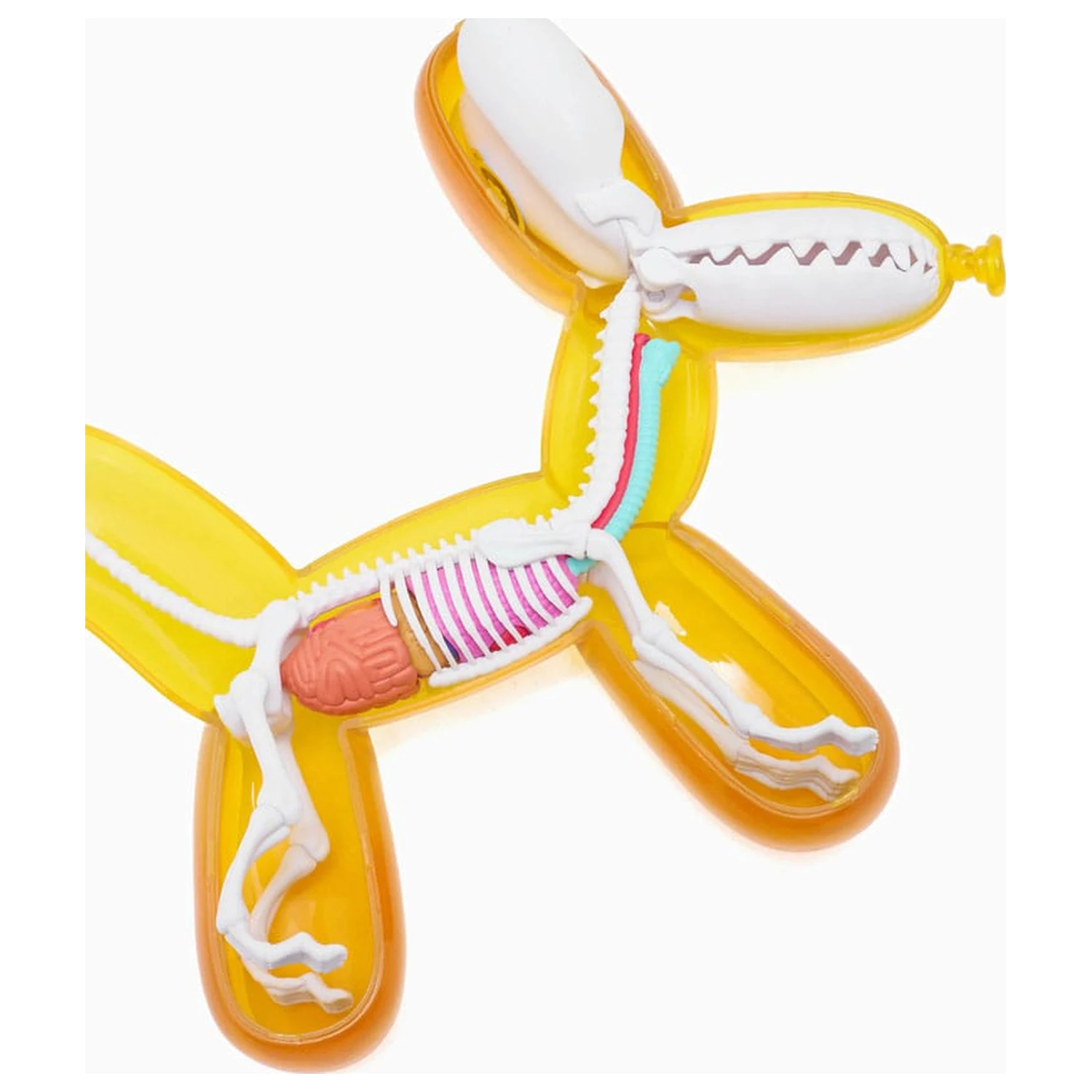 Funny Anatomy Honey Edition Balloon Dog Statue Produktfoto
