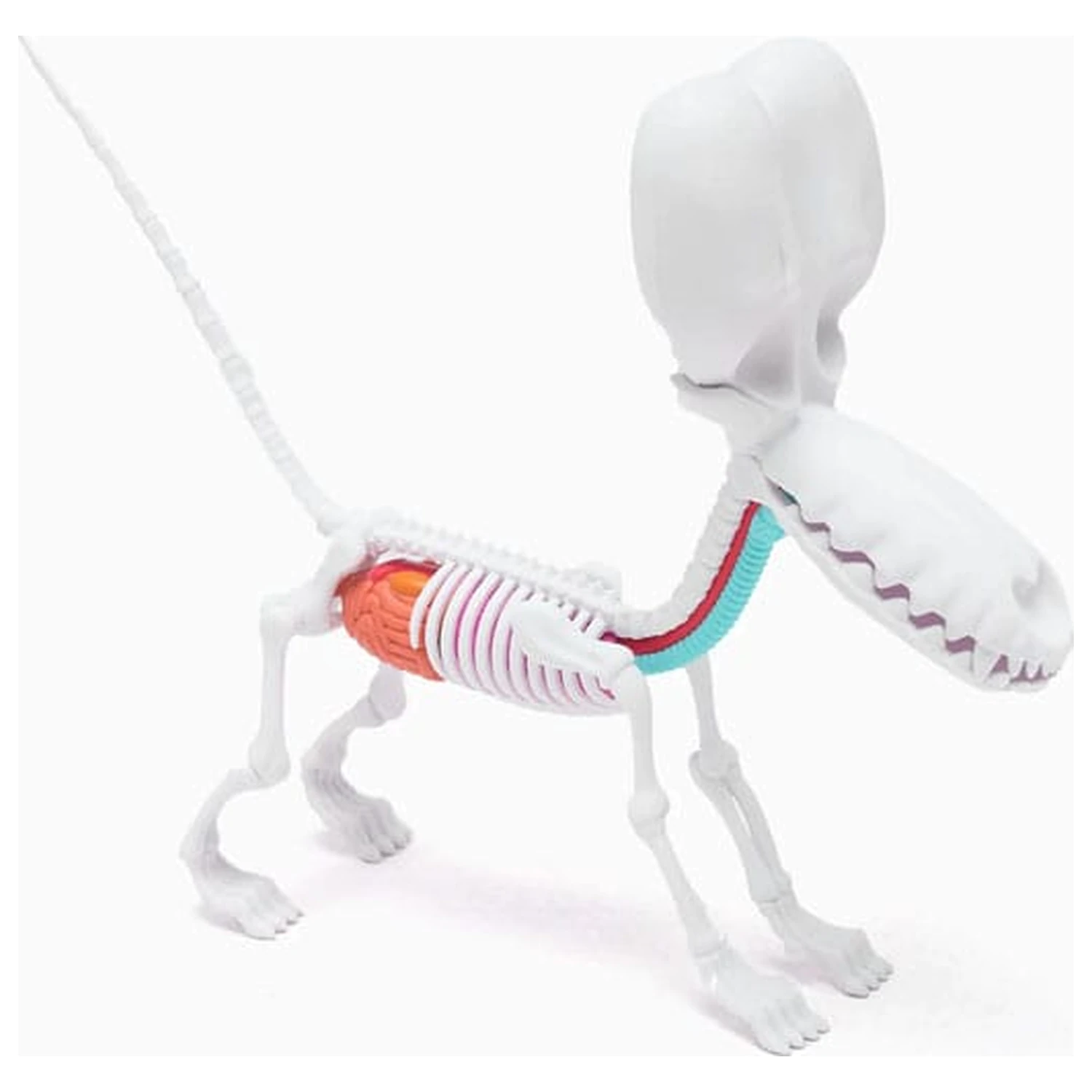 Funny Anatomy Honey Edition Balloon Dog Statue Produktfoto