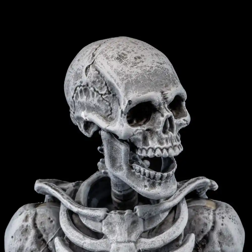 Graveyard Skeletons Actionfiguren 4er-Pack Produktfoto