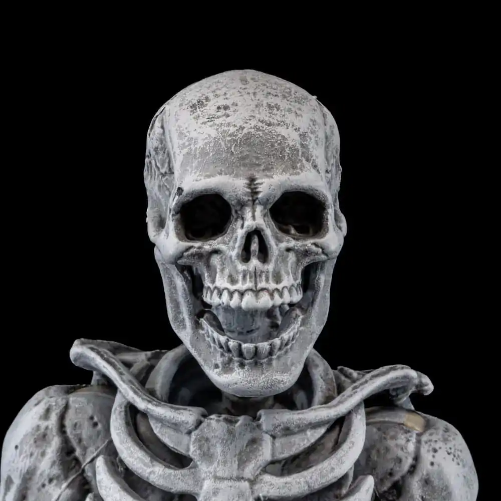 Graveyard Skeletons Actionfiguren 4er-Pack Produktfoto