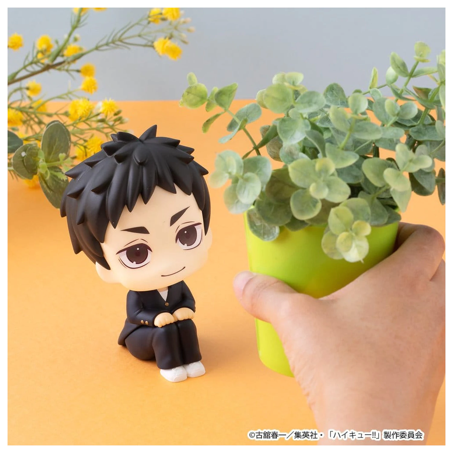 Haikyu!! Look Up PVC Figuren 2er-Pack Daichi Sawamura & Koushi Sugawara 11 cm (mit Geschenk) Produktfoto