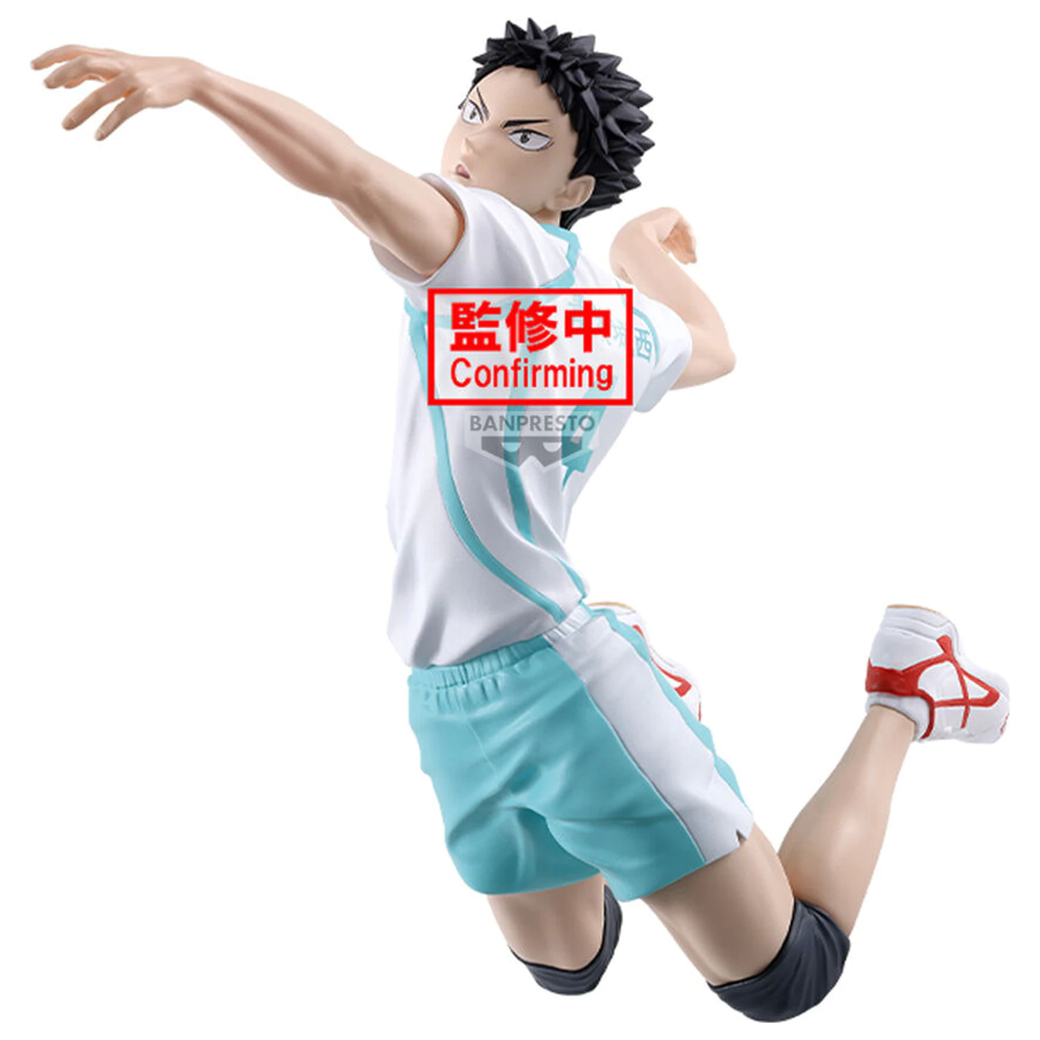 Haikyu!! Posing Figur Hajime Iwaizumi Figur 15cm Produktfoto