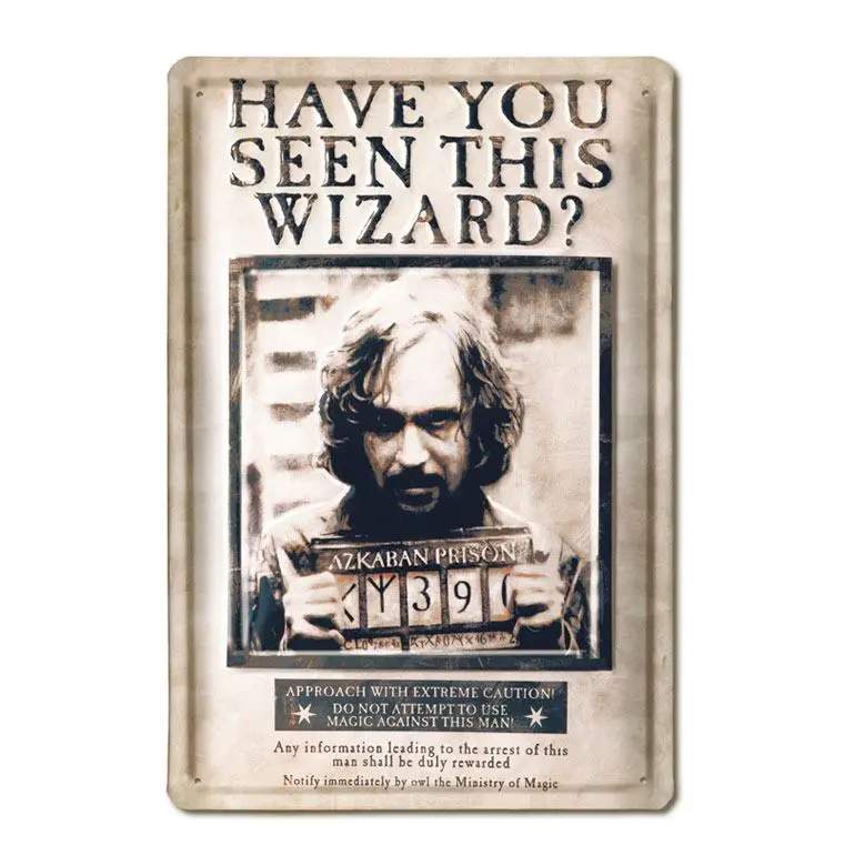 Harry Potter 3D Blechschild Have You Seen This Wizard 20 x 30 cm Produktfoto