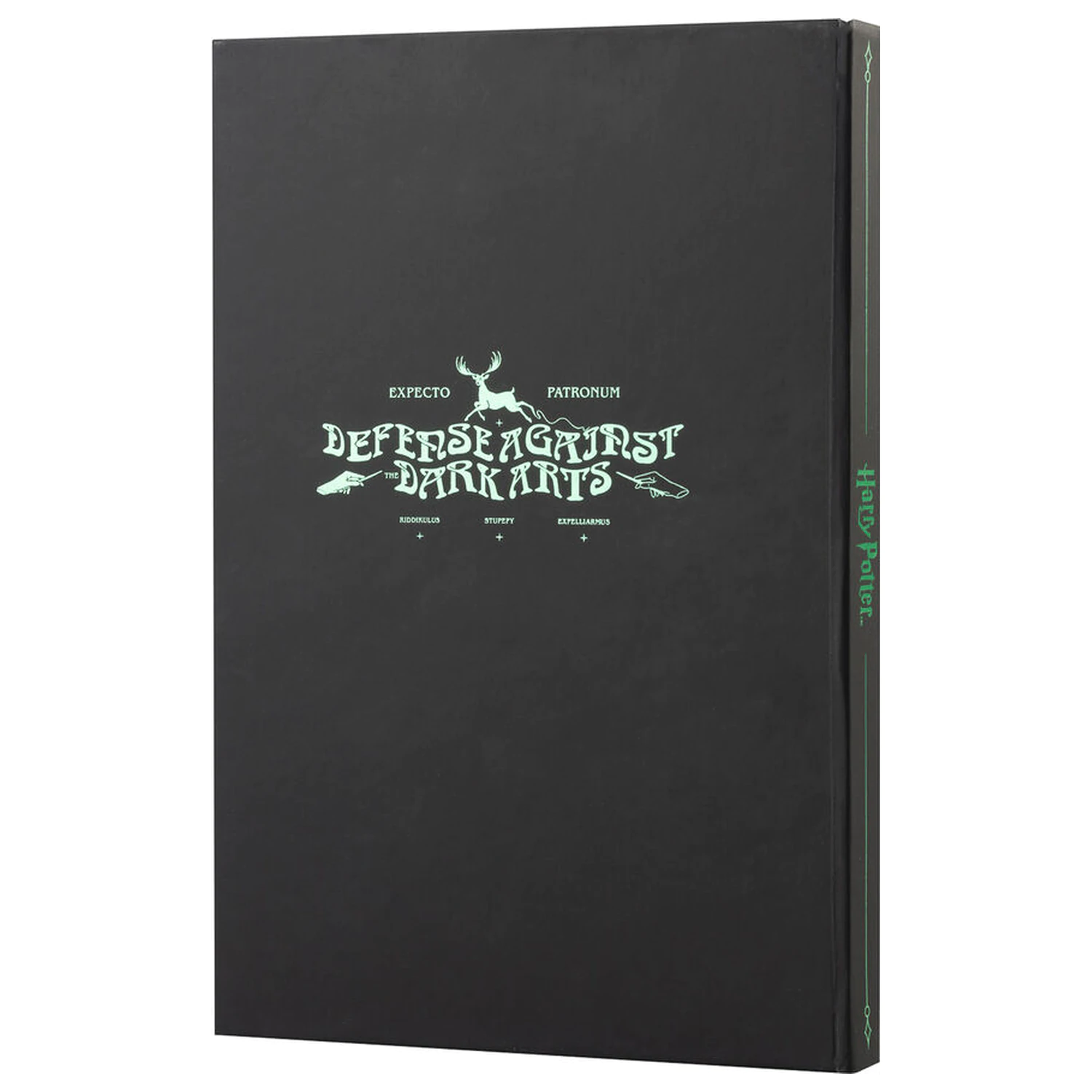 Harry Potter DIN A5 Linsenförmiges Notizbuch Produktfoto