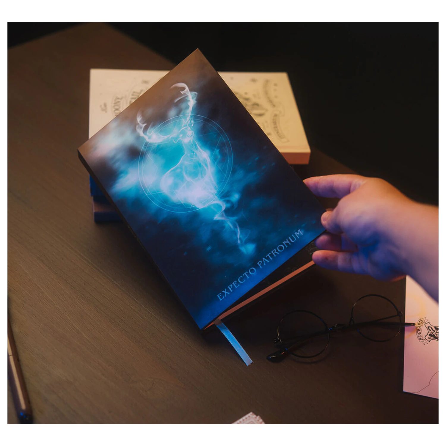 Harry Potter DIN A5 Linsenförmiges Notizbuch Produktfoto