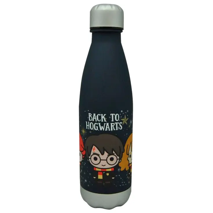 Harry Potter Back to Hogwarst Flasche 650ml Produktfoto