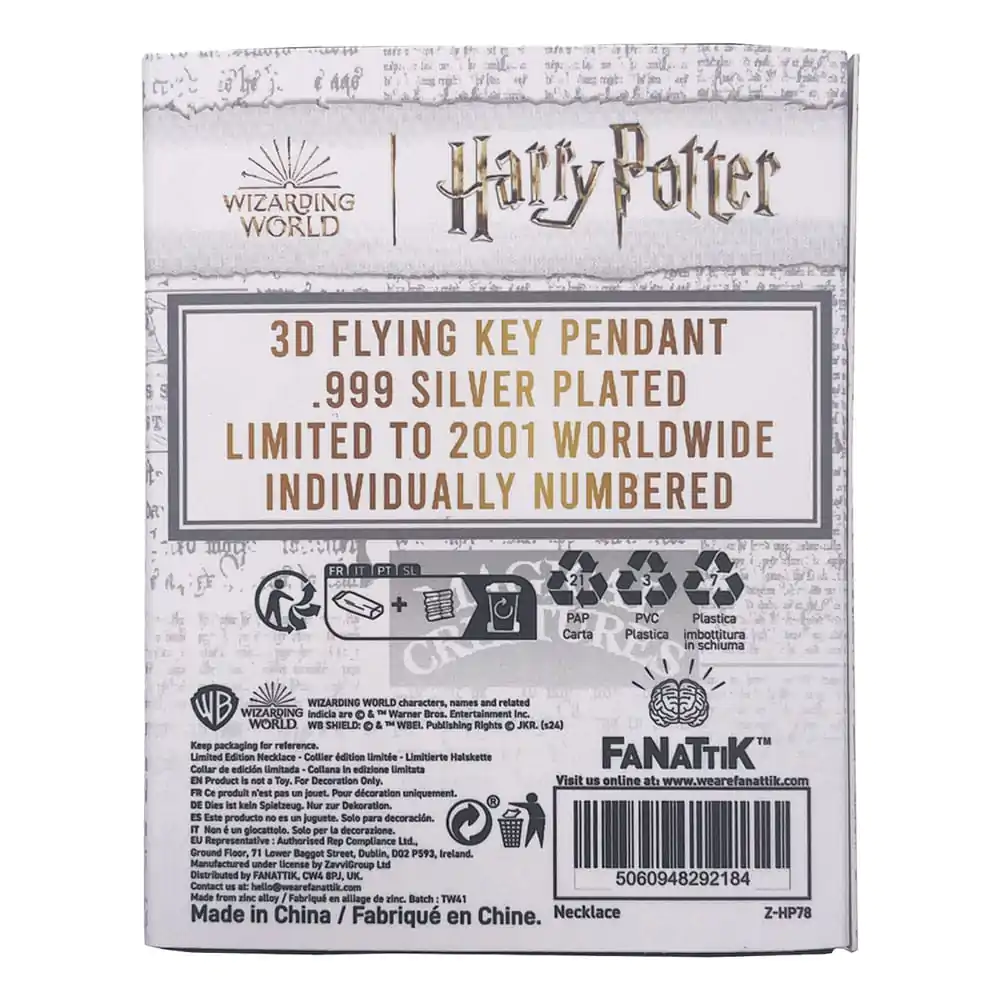 Harry Potter Halskette & Anhänger Flying Key termékfotó