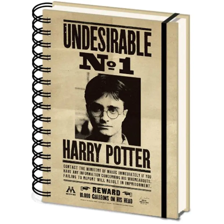 Harry Potter Harry & Sirus posters A5 Notizbuch Produktfoto