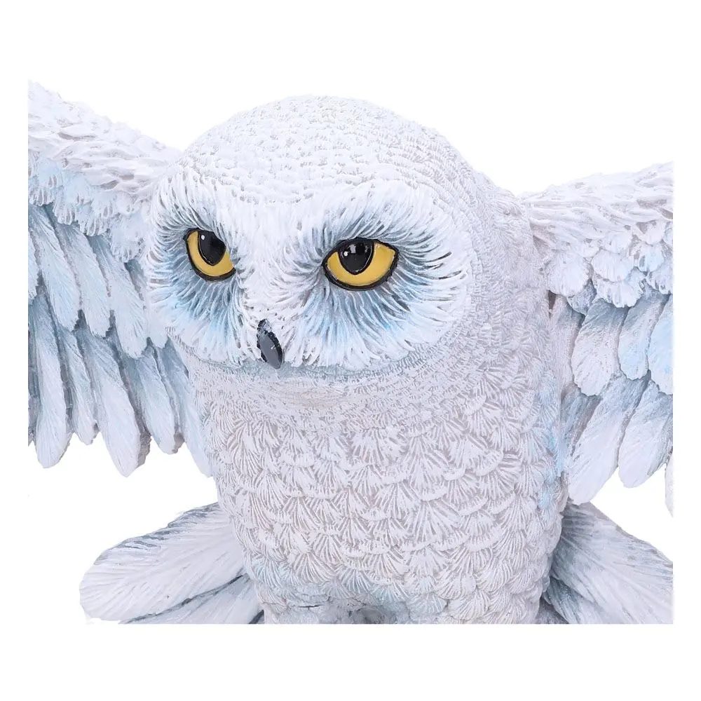 Harry Potter Wandschmuck Hedwig 45 cm termékfotó