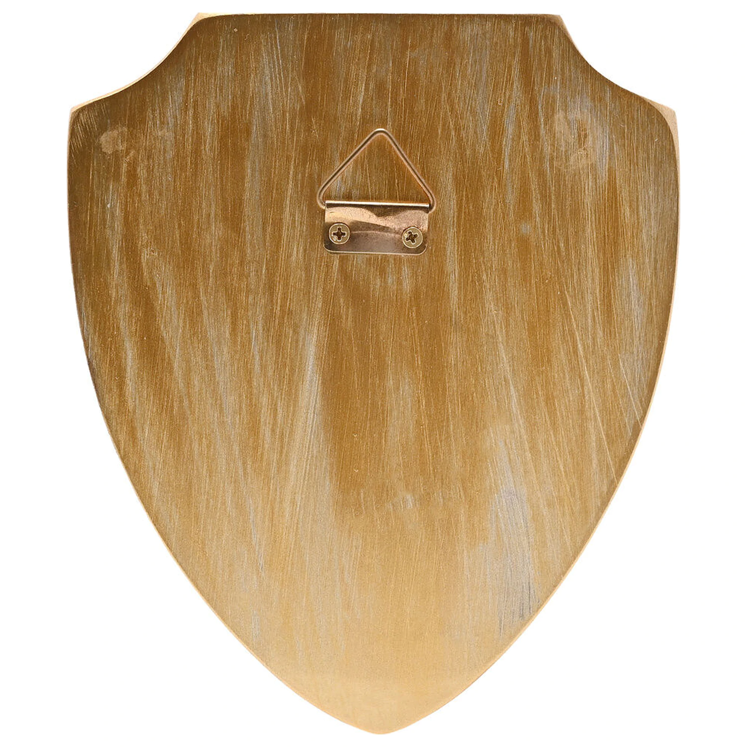 Harry Potter Hogwarts Crest 3D Wandschild Produktfoto