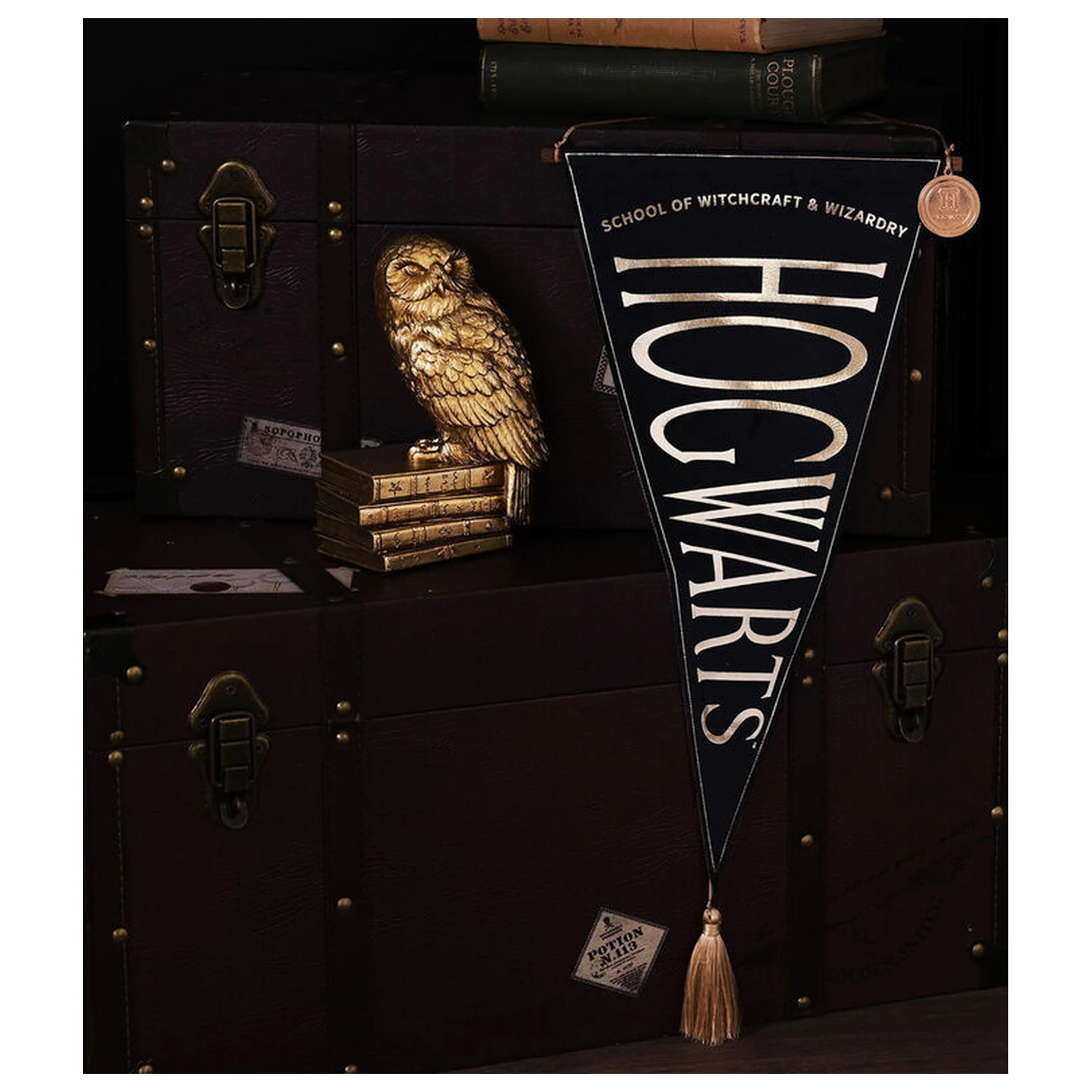 Harry Potter Hogwarts hängendes Banner Produktfoto