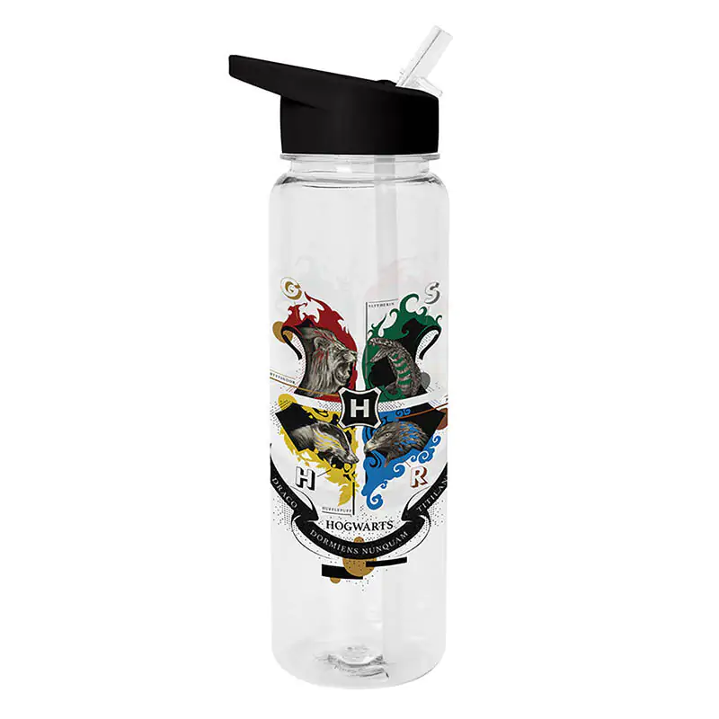 Harry Potter Hogwarts Houses Flasche 700ml Produktfoto