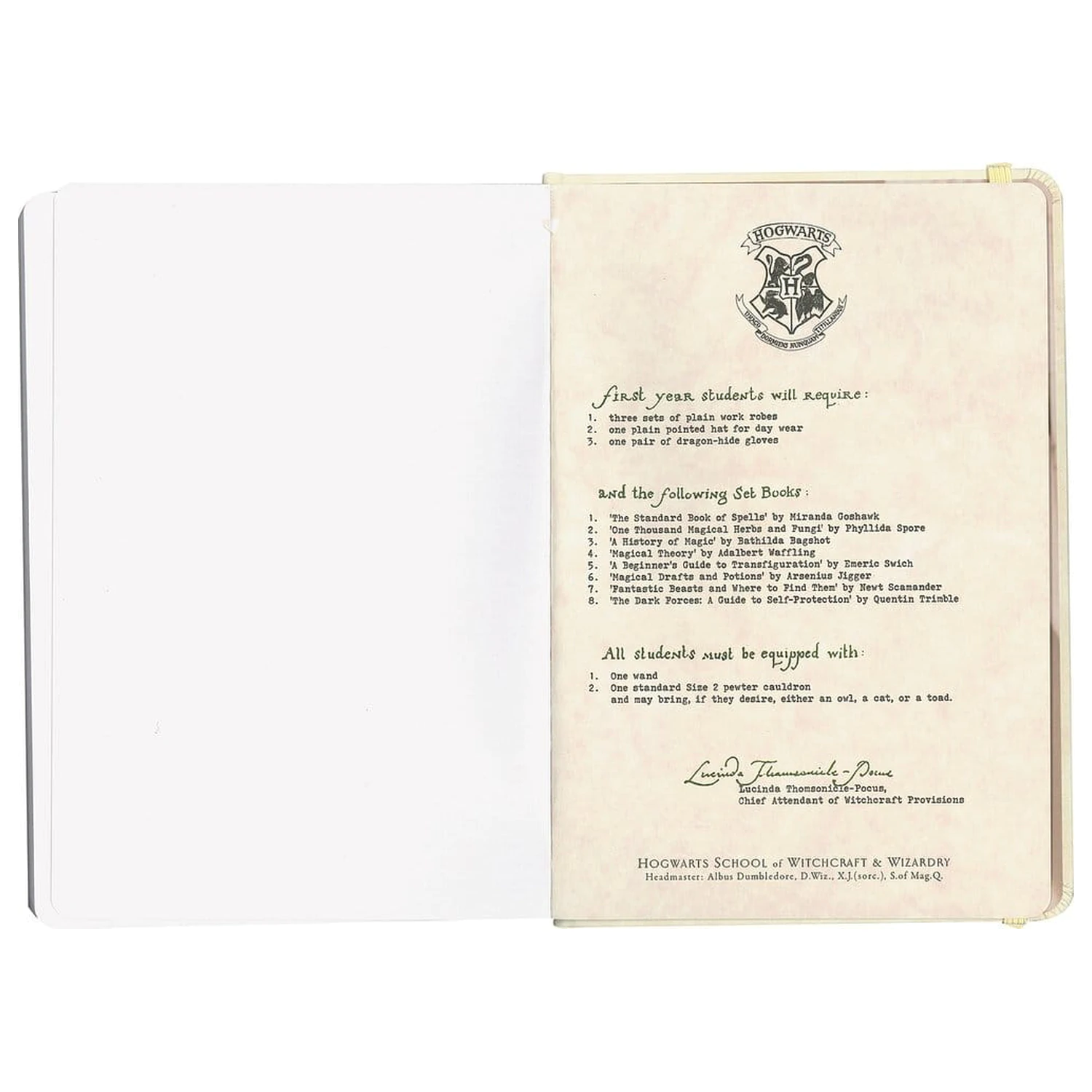 Harry Potter Hardcover Notizbuch Hogwarts Letter 21 cm Produktfoto