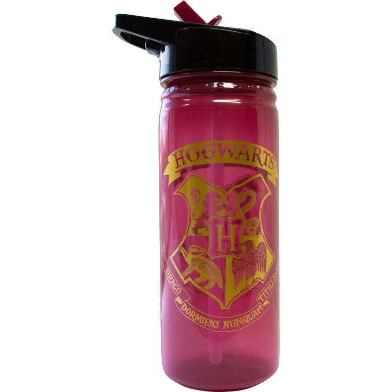 Harry Potter Hogwarts Flasche 600ml Produktfoto