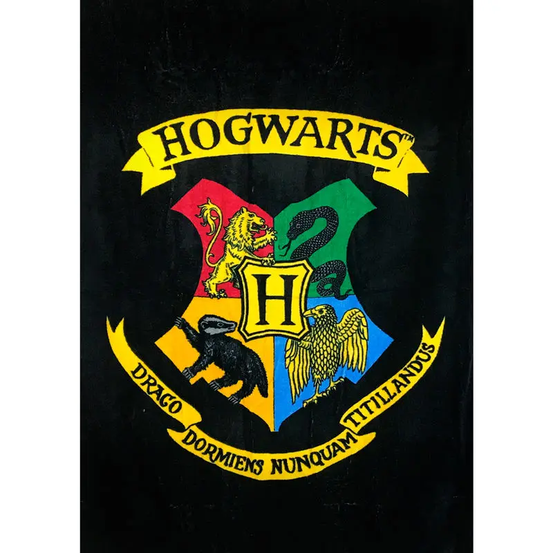 Harry Potter Handtuch Hogwarts 150 x 75 cm termékfotó