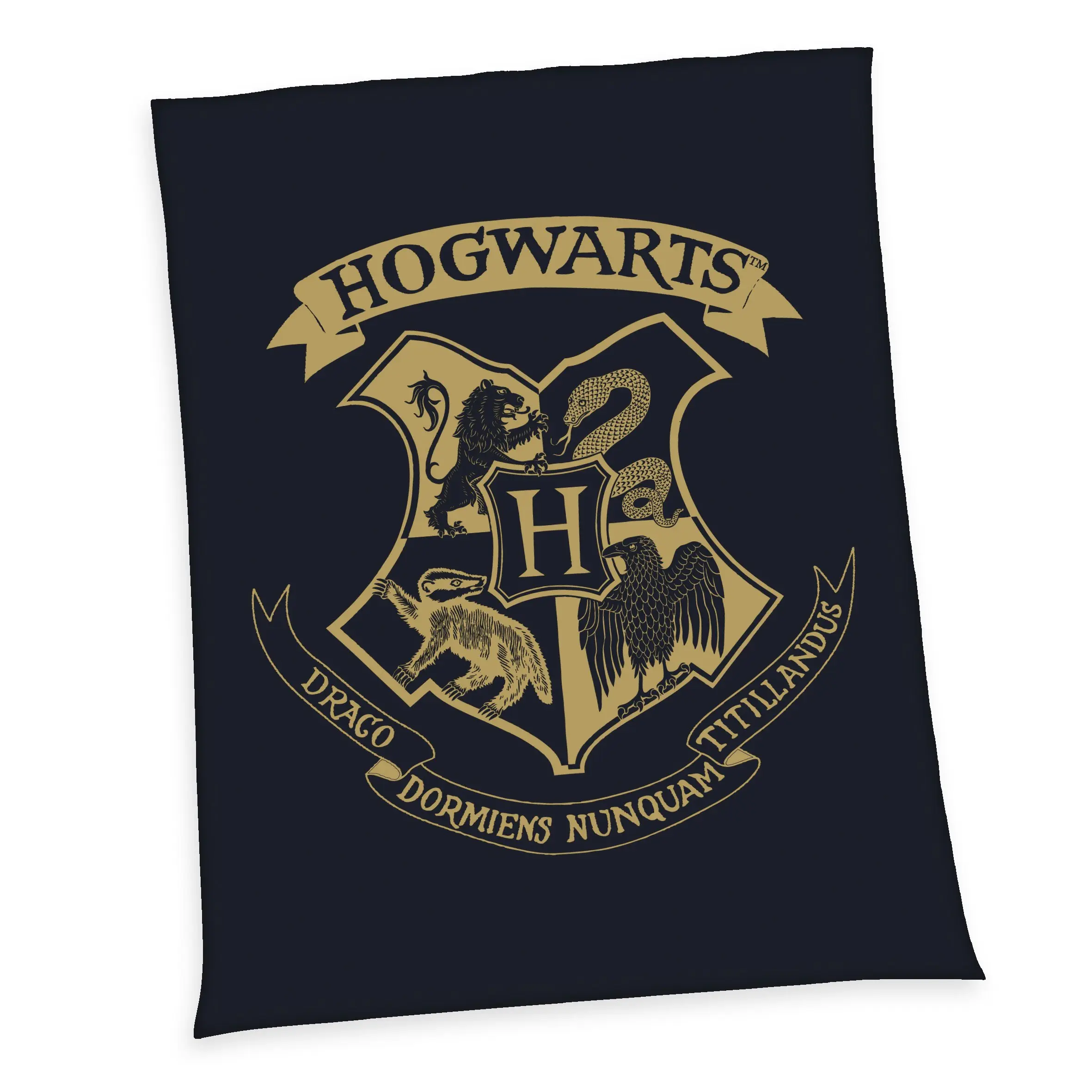 Harry Potter Fleecedecke Hogwarts 150 x 200 cm termékfotó