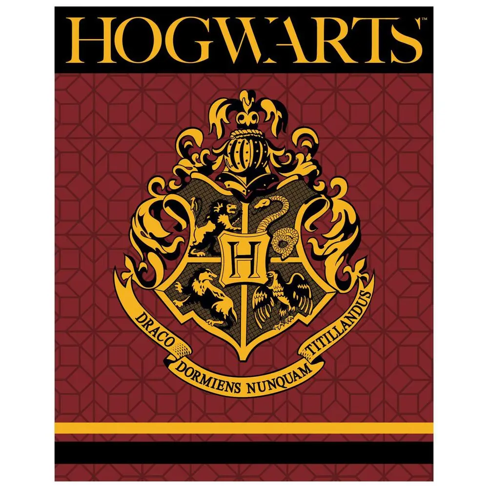 Harry Potter Hogwarts Premium Coral Decke Produktfoto