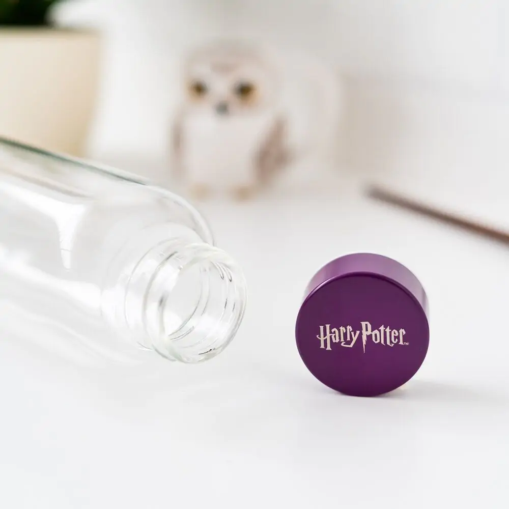 Harry Potter Hogwarts Glasflasche 500ml Produktfoto