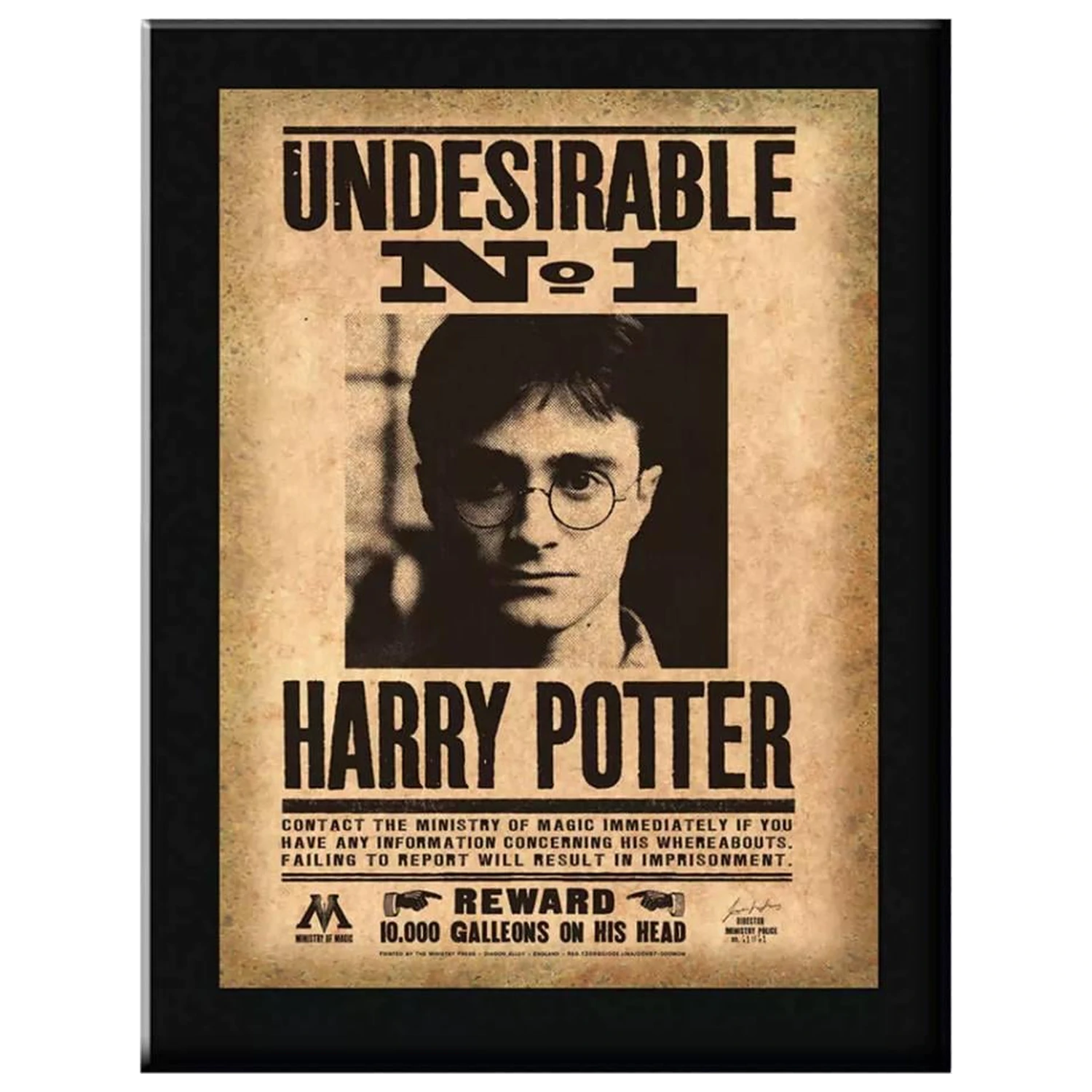Harry Potter Indesirable N°1 Wandtafel Produktfoto