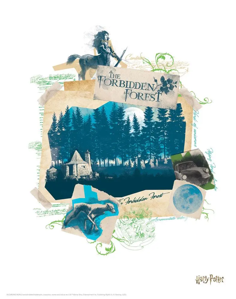 Harry Potter Lithografie 10er-Set 36 x 28 cm Produktfoto