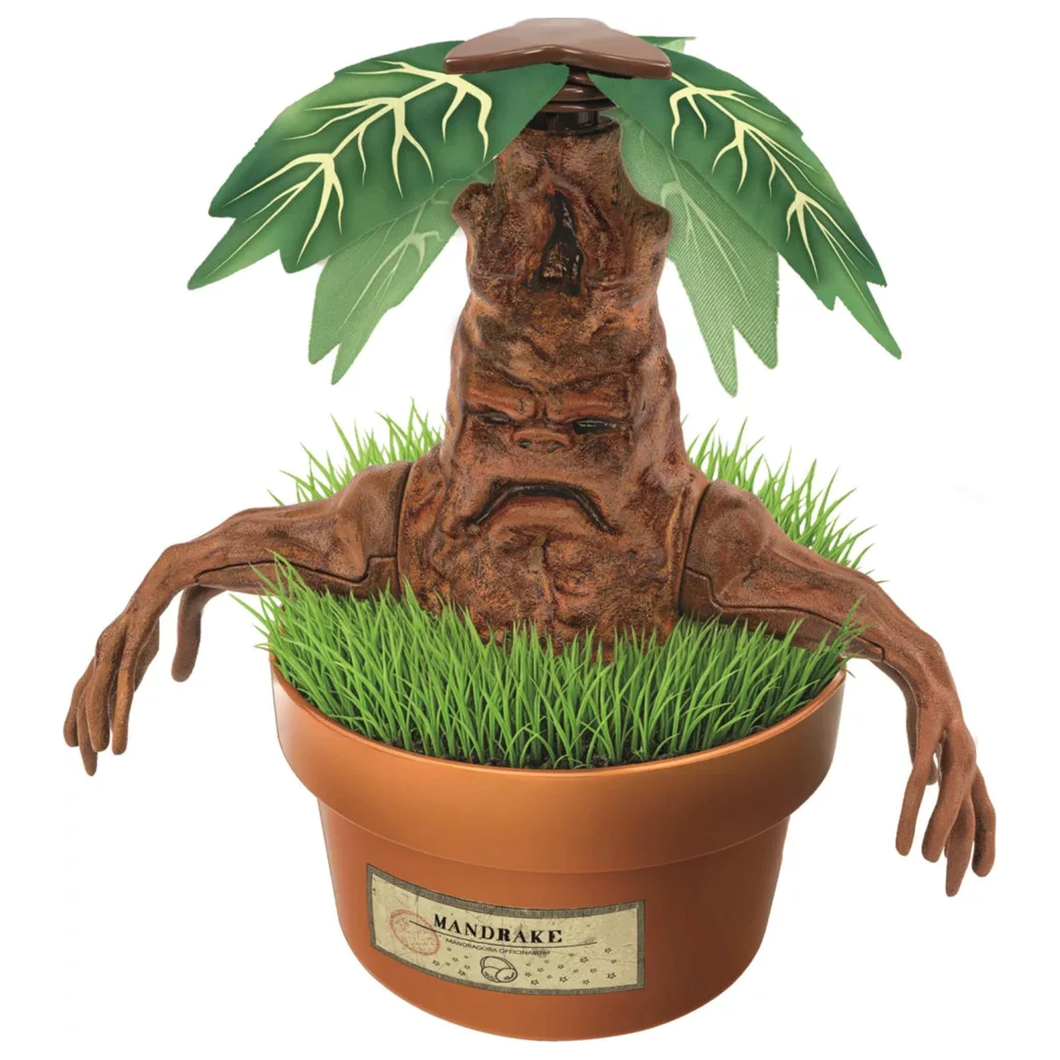 Harry Potter Mandrake Modellbausatz Produktfoto