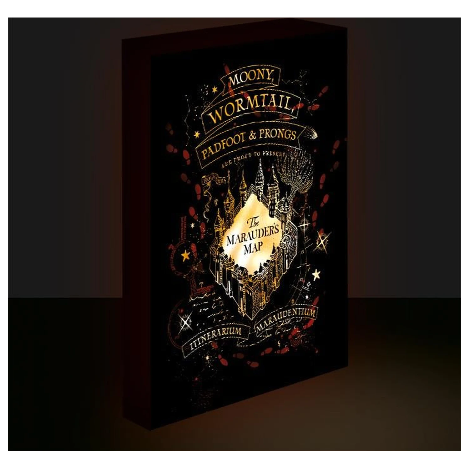 Harry Potter Marauders Map Light Leinwand 40X30 cm Produktfoto