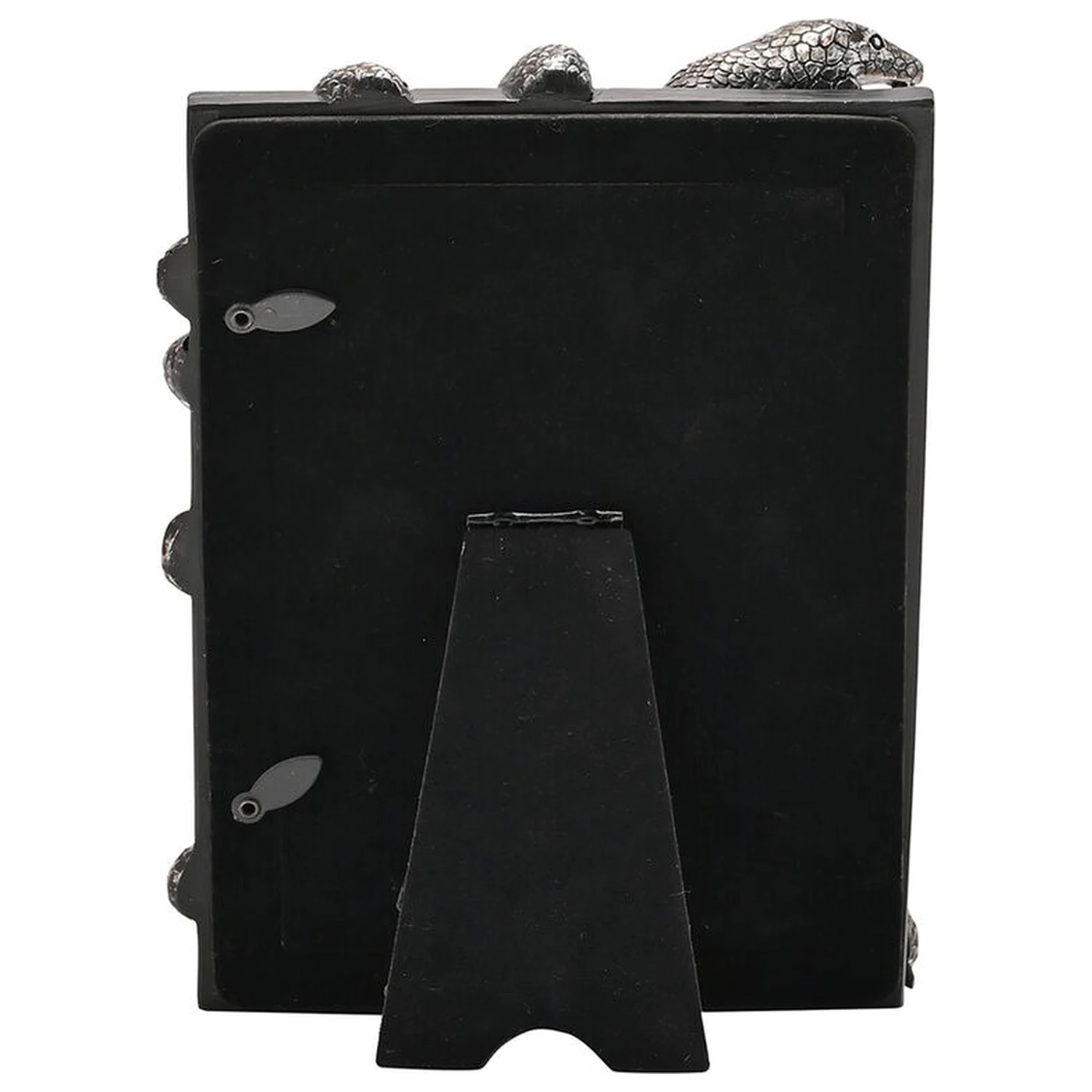 Harry Potter Nagini Fotorahmen Produktfoto